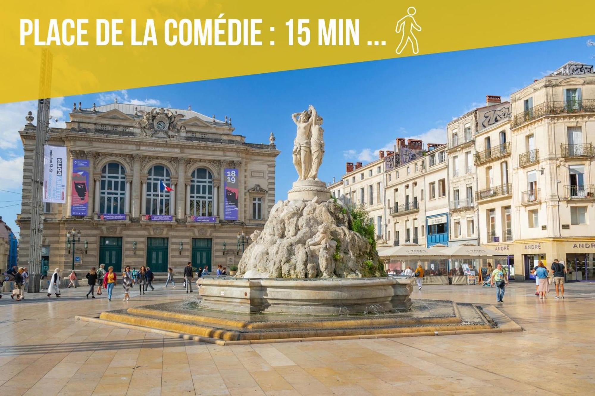 Amja Proche Clinique Saint-Roch Apt 3 Chambres 3 Salles De Bain Parking Gratuit Ideal Famille Groupe Coworking 10 Min Centre Ville 10 Min Plage 5 Min Sortie Autoroute Montpellier Exterior foto